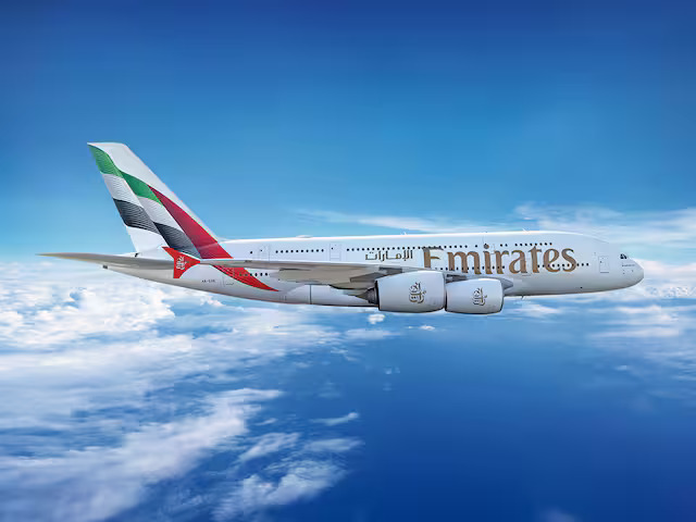 How Bird Strikes Damaged An Emirates Flight On Route From Dubai To 