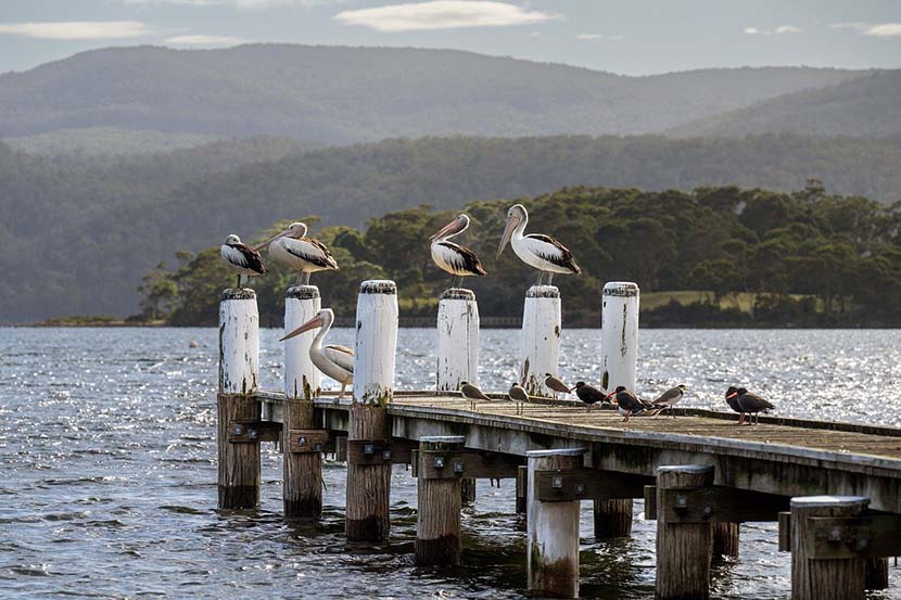 Tasmania $50 million Regional Tourism Development Loan Scheme to Boost Tourism Industry Development