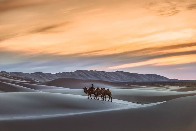 2024 年蒙古旅游业将蓬勃发展，可免签证进入俄罗斯、中国和马来西亚等 64 个国家