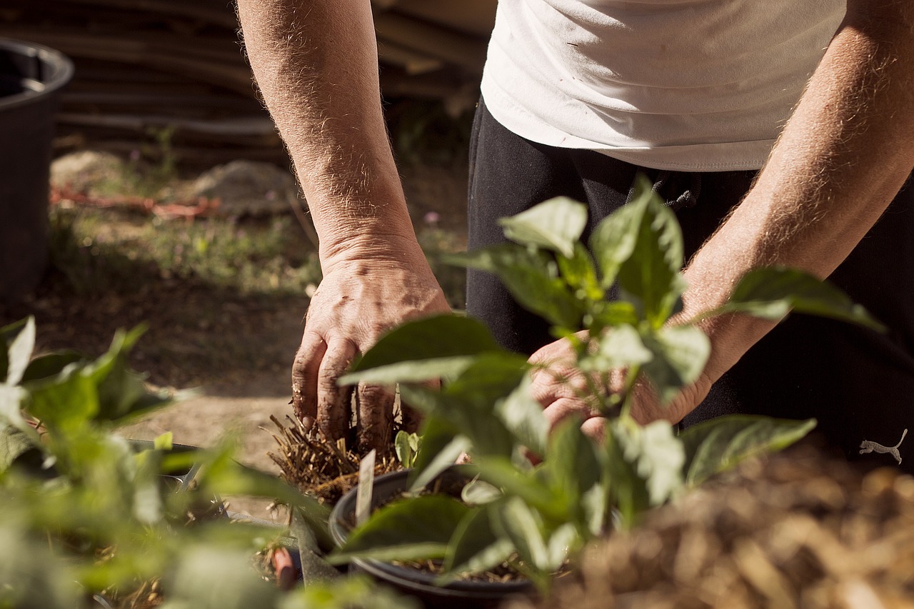 WTTC’s Hotel Sustainability Basics program reaches a milestone: Over 5,000 hotels commit to a greener future to boost the global travel industry