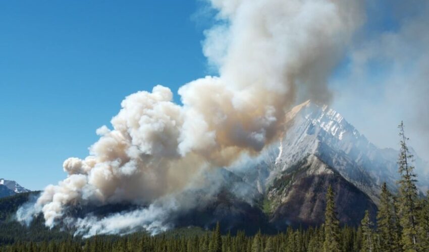 Canadian Tourism Faces Significant Impact from Wildfires:Know about the latest updates