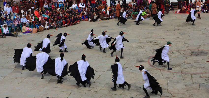 Black-necked Crane Festival, local festival engaging 2000 + tourists surging Bhutan travel industry this November – Travel And Tour World