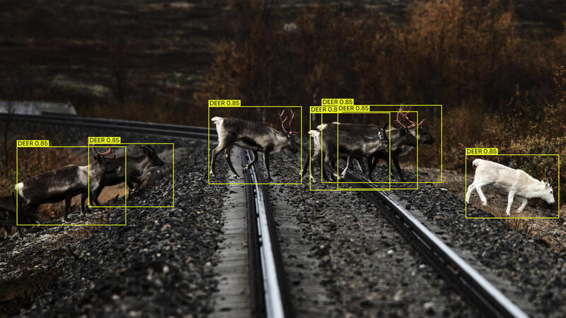 Alstom Partners with Flox to Fund SEK 3.3 Million from Vinnova for AI Technology to Mitigate Train Collisions with Wildlife in Sweden