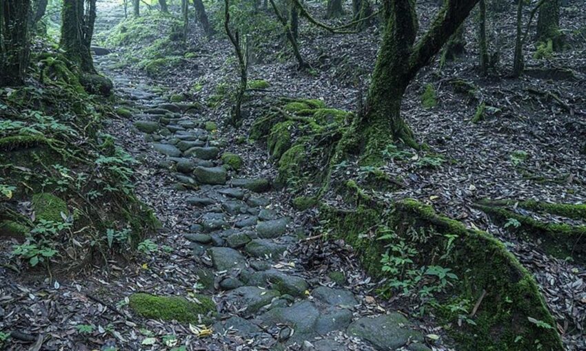 Ailao Mountains: Tourist Boom in ‘Untamed’ Wilderness Prompts Urgent Safety Warnings!