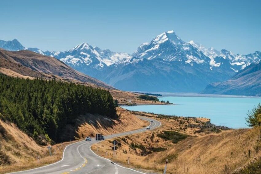 New Zealand Elevates The PCOA24 Experience With Speakers, Exhibits, And Hospitality