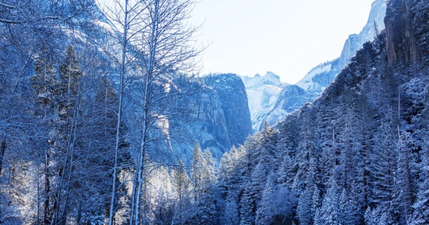 Yosemite National Park Experiences Winter Conditions: What Tourists Need to Know About Snow, Road Closures, and Winter Hiking Safety