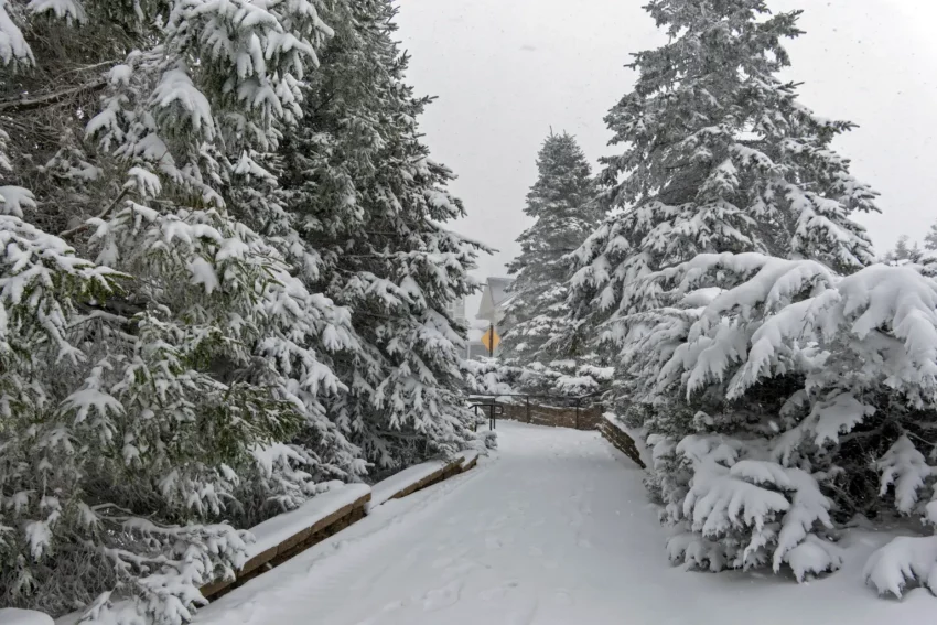 Severe Winter Weather Hits Northeast US, Bringing Heavy Snow and Cancellations to Airports in New York, Boston, and Washington DC