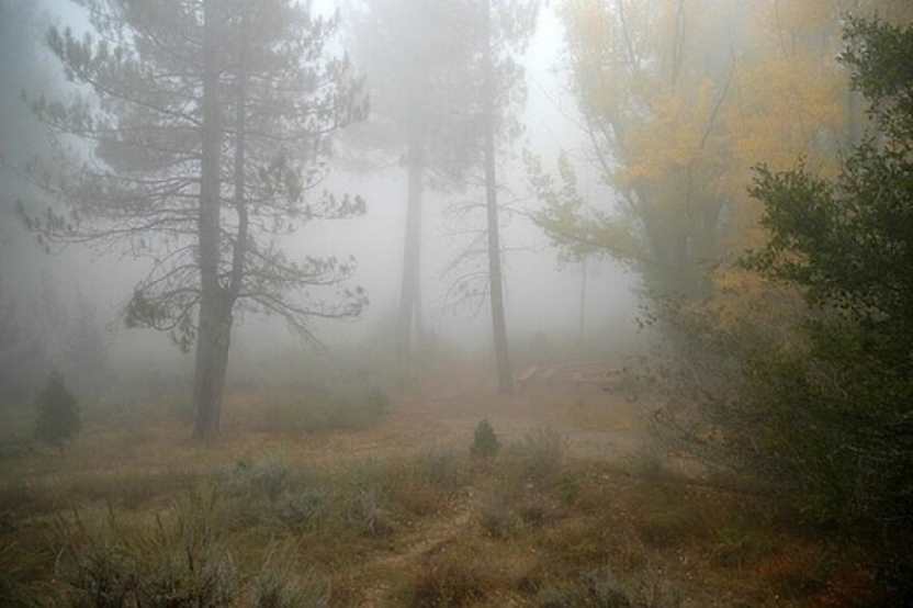 New Mexico weather alert: Dense fog and snow expected along I-40 this week – Travel And Tour World