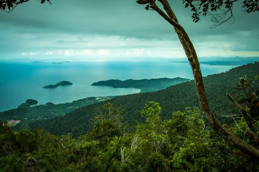 拿笃 (Lahad Datu) 马来西亚自然爱好者和冒险家蓬勃发展的生态旅游目的地 探索这颗隐藏宝石的新手指南