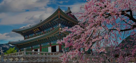 South Korea Announces New Travel Requirements for UK Tourists New Document Needed for Entry Starting in 2025 – Travel And Tour World