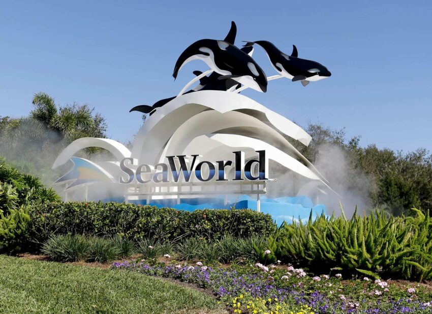 San Antonio, San Diego, and Orlando SeaWorld Parks Welcome USA Travelers for Groundbreaking New Adventures