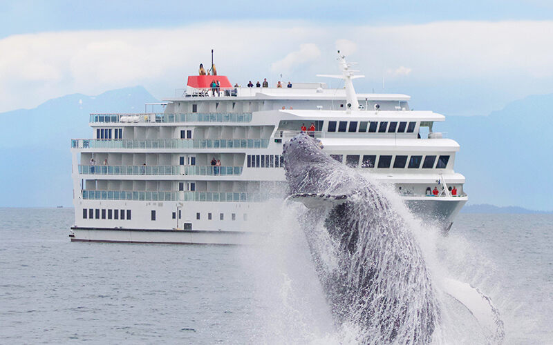 Experience the Best Itineraries of Alaska with American Cruise Lines’ New 2025 Voyages – Travel And Tour World