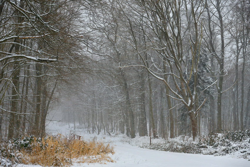 UK faces terrible winter storm: Here’s what you need to know – Travel And Tour World