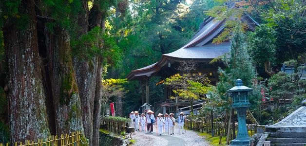 How Are Japan’s Booming Underrated Destinations Like Kanazawa, Takayama, and Yakushima Redefining Travel and Boosting Eco Tourism?