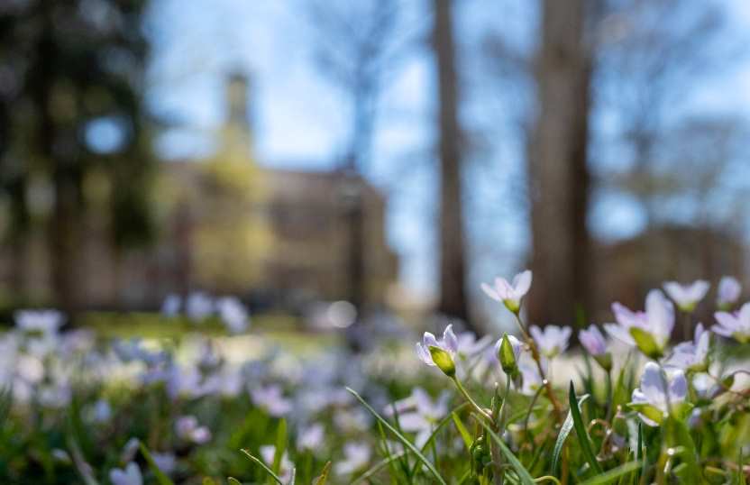 Ohio colleges' Spring Break 